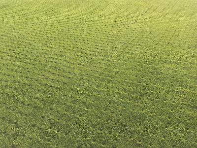 Verti drain field