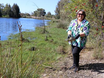 Mayor Terresa Lynes returns Susie the South-western Snake-Necked turtle to wetlands in the City of Gosnells.