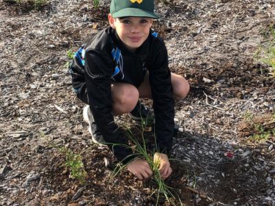 Boy planting trees